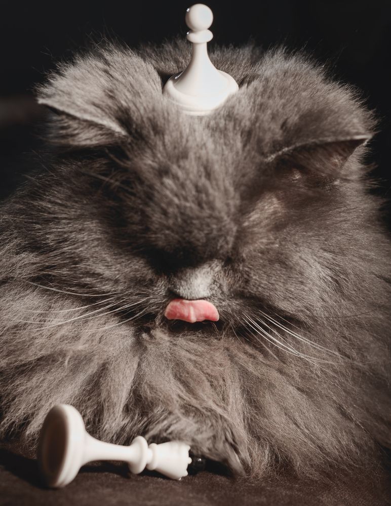 Photograph by Ольга Шибяева