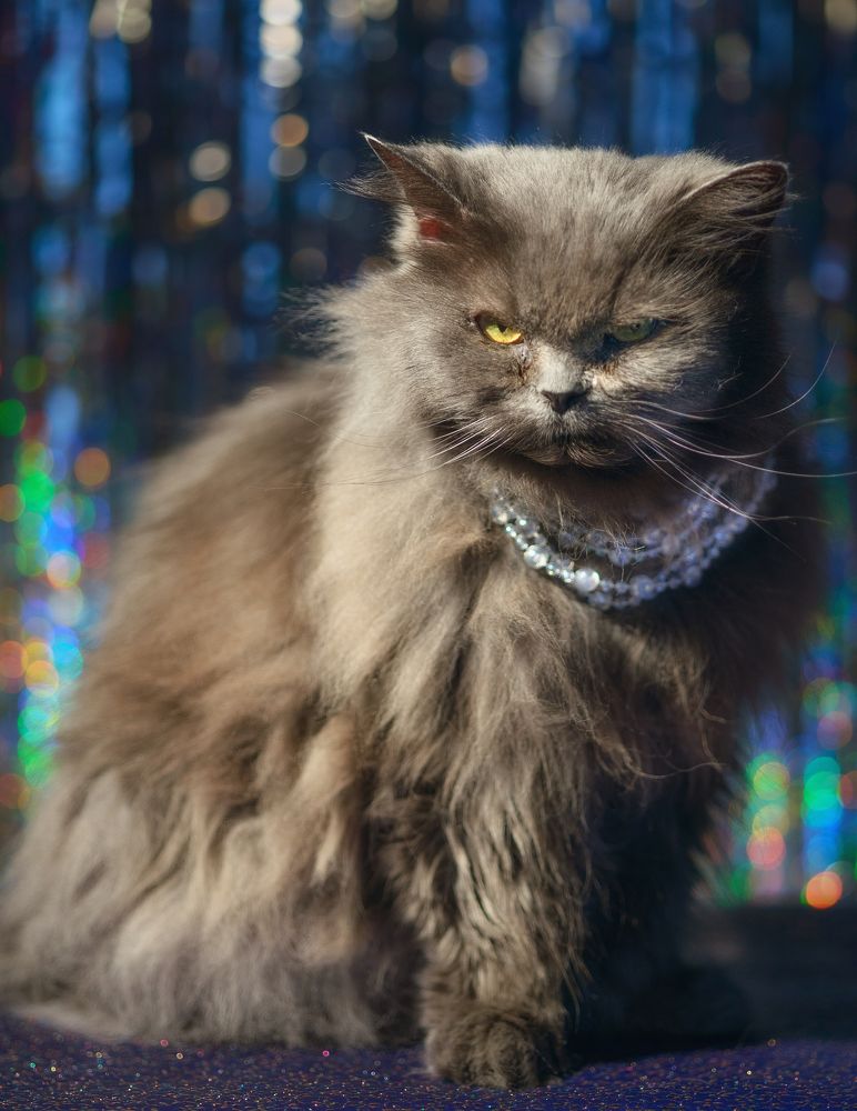 Photograph by Ольга Шибяева