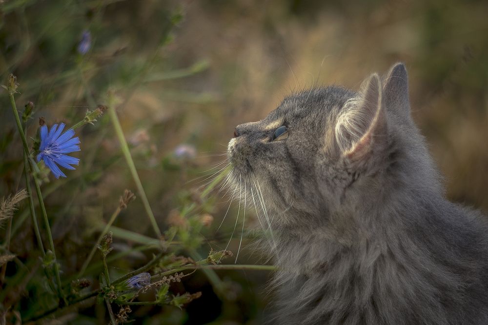 Photograph by Александр Сыроватка