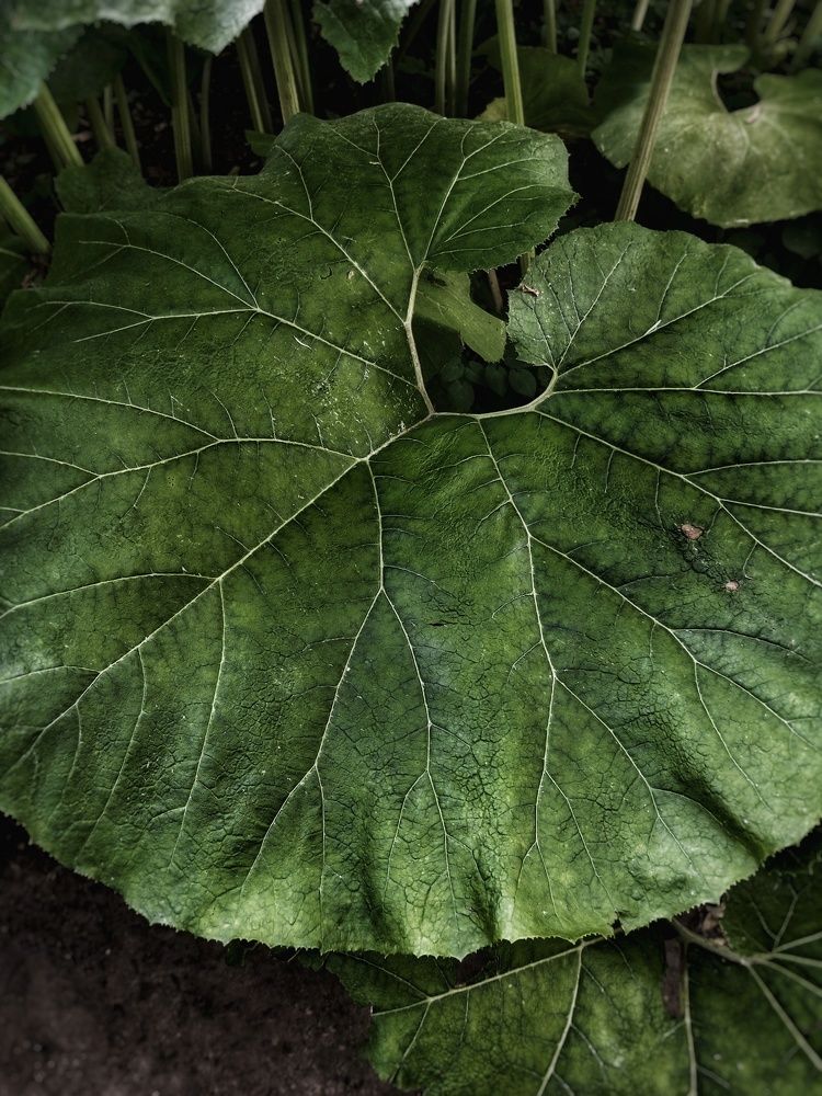 Photograph by Людмила М