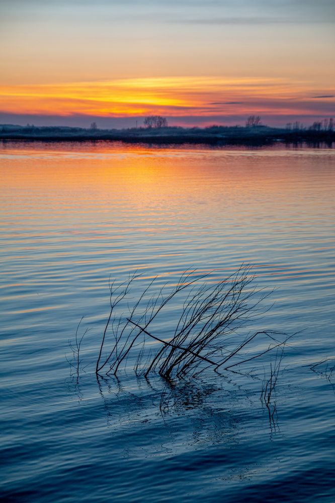 Photograph by Ирина Рыжова