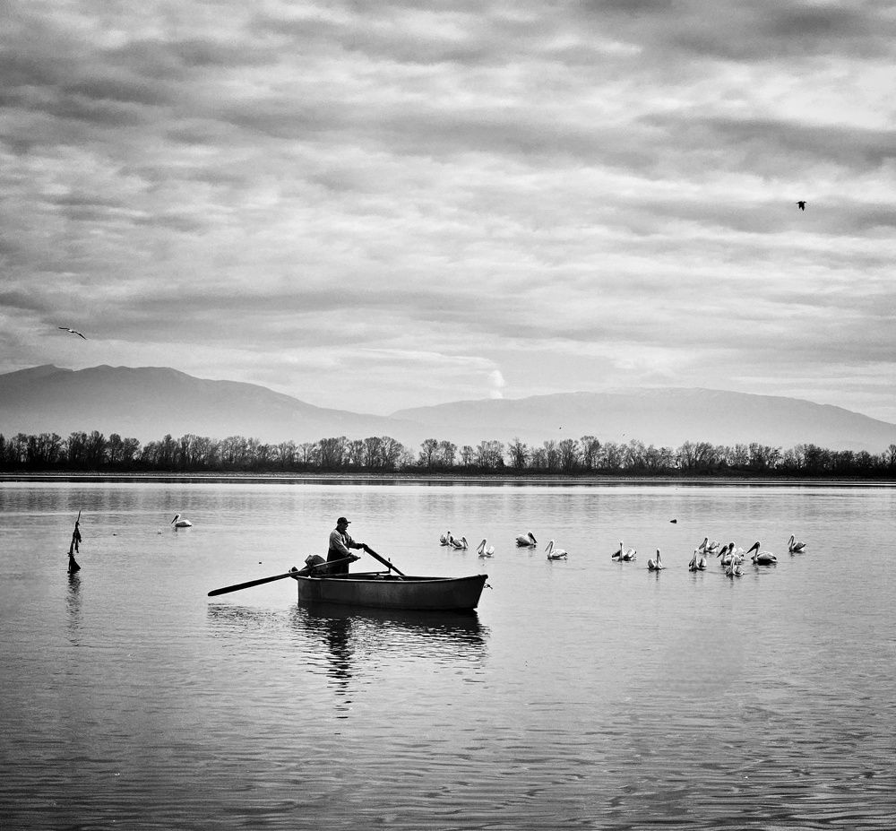Фотография автора Герчев Николай