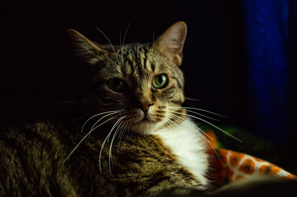 Photograph by Сергей Герасимов