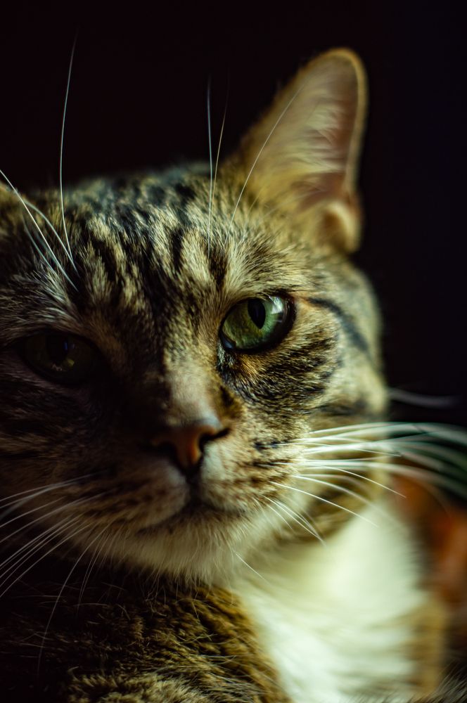 Photograph by Сергей Герасимов