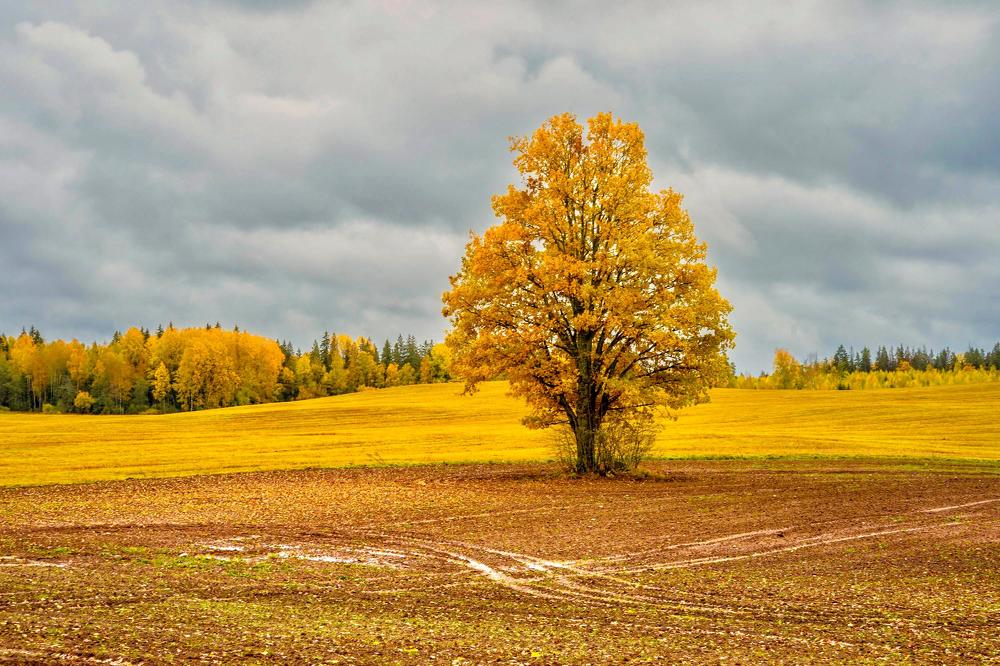 Photograph by Olga Zdančuka