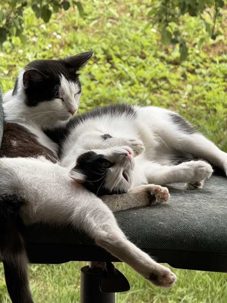 Photograph by Ольга Томашевич