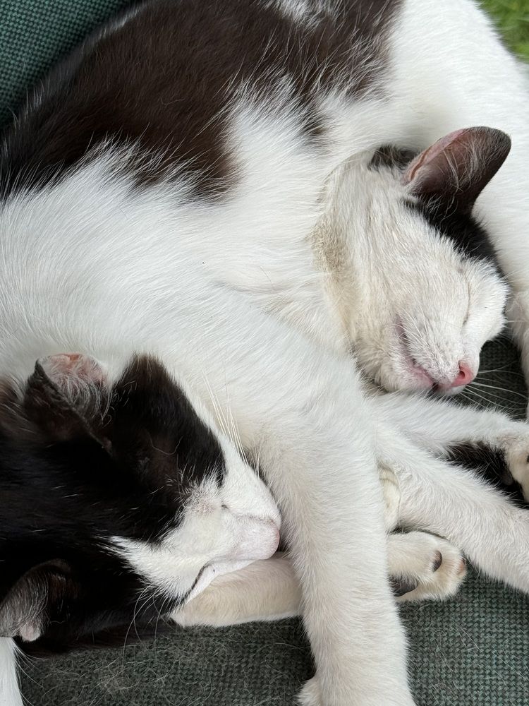 Photograph by Ольга Томашевич