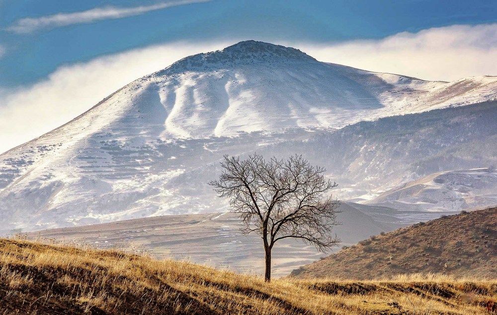 Photograph by Сергей Метелица