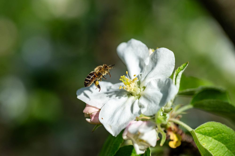 Фотография автора Владимир Оликов