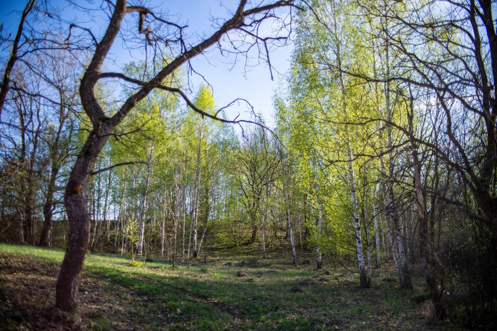 Фотография автора Владимир Оликов