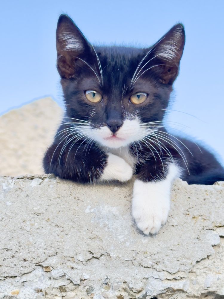 Photograph by Григорий Лыжин