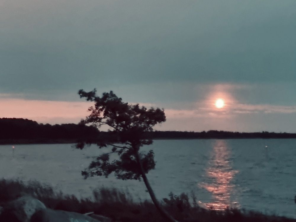 Photograph by Максим Иванов