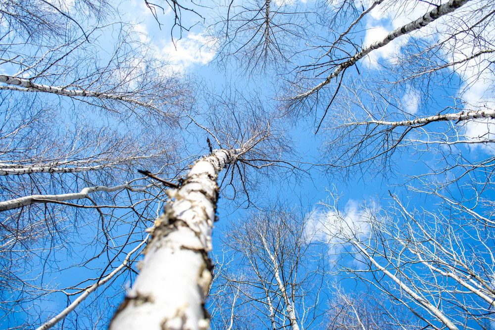 Фотография автора Владимир Оликов