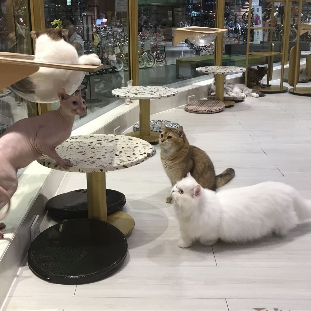 Photograph by HIEU LIEM DO