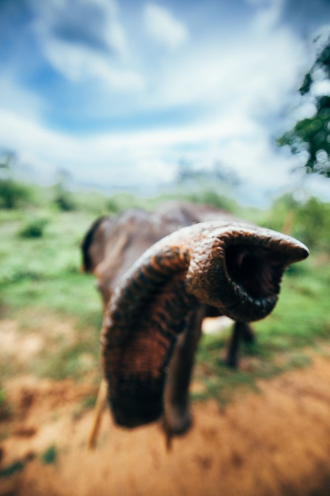 Photograph by Adrian Grigore