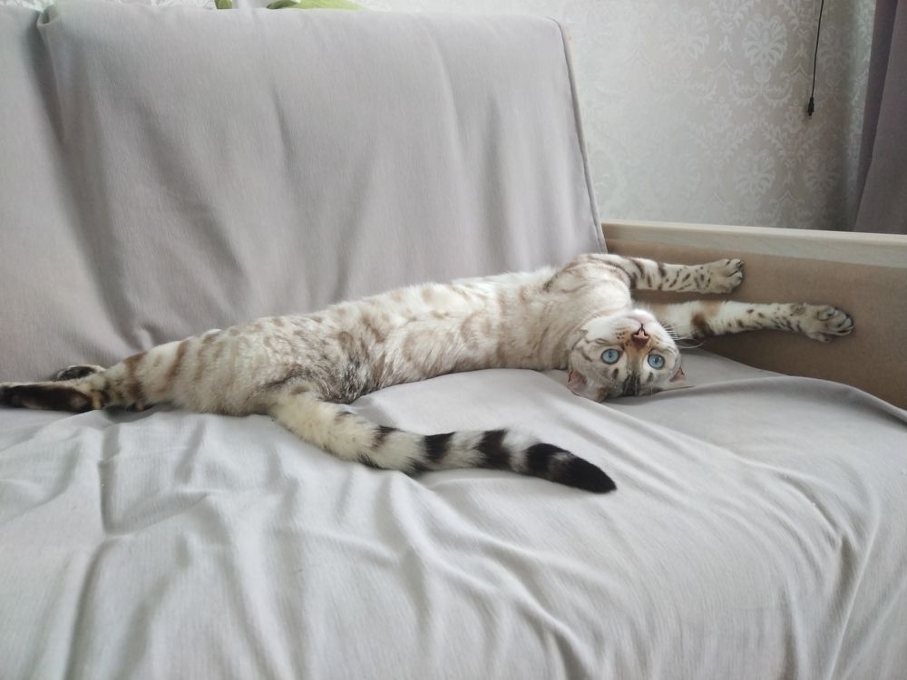 Photograph by Анастасия