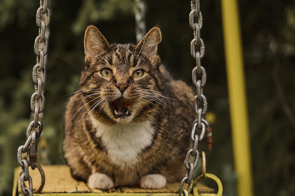 Photograph by Татьяна Полянская