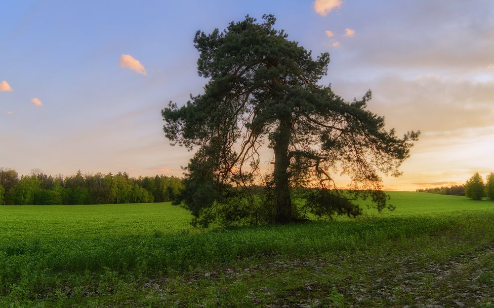 Photograph by Сергей Дишук