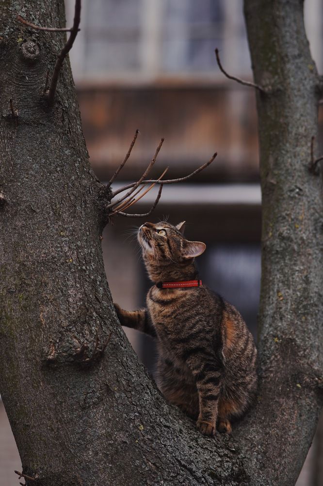 Photograph by Мария