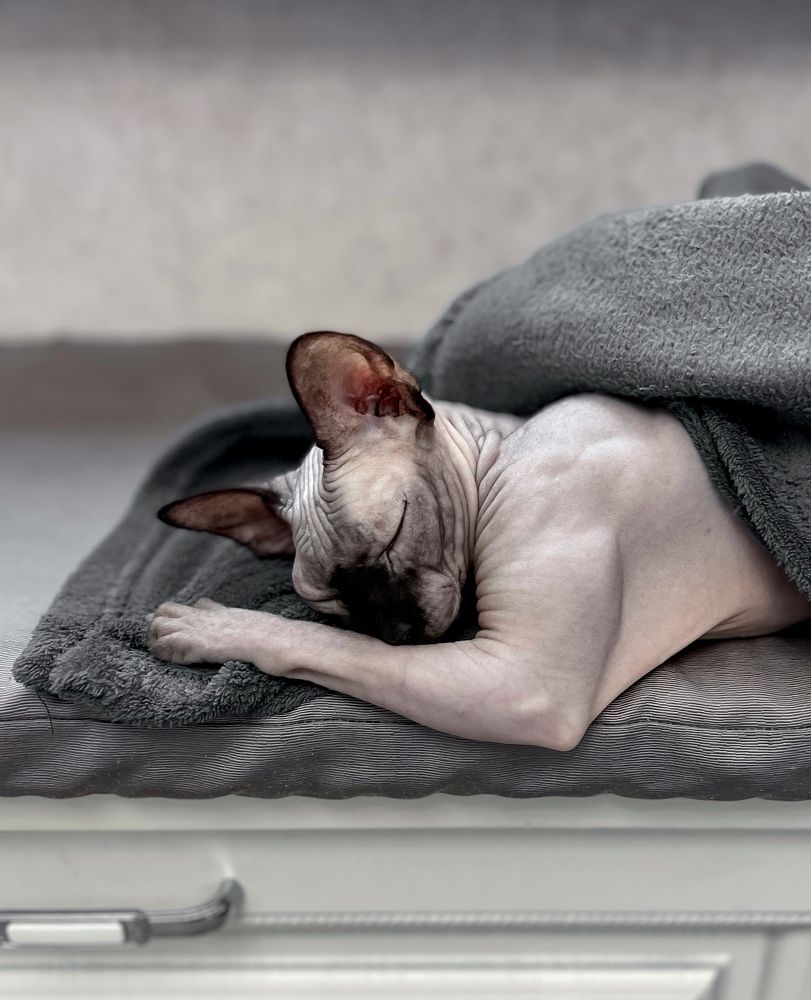 Photograph by Елена Цацулина