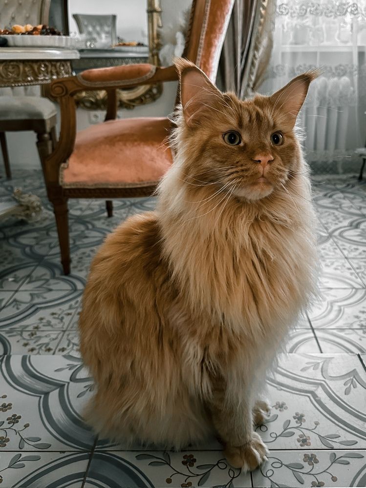 Photograph by Елена Цацулина