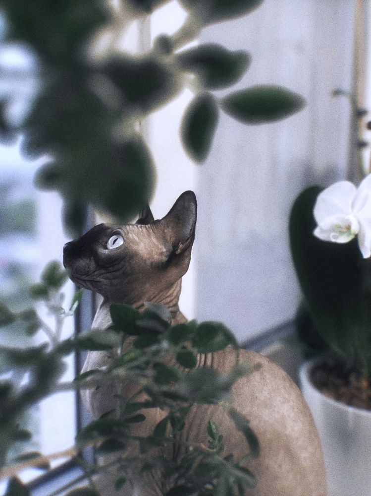 Photograph by Елена Цацулина