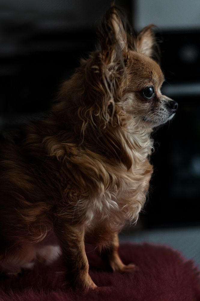 Photograph by Юлия Петухова