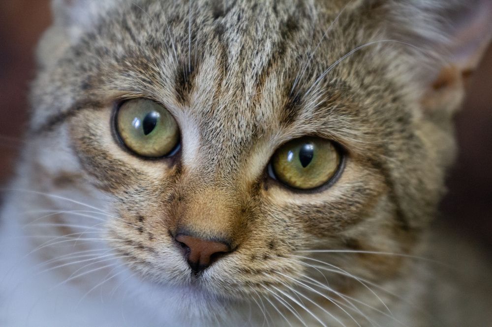 Photograph by Илья Сторожко