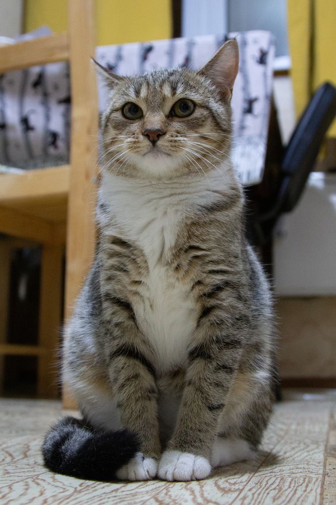 Photograph by Илья Сторожко