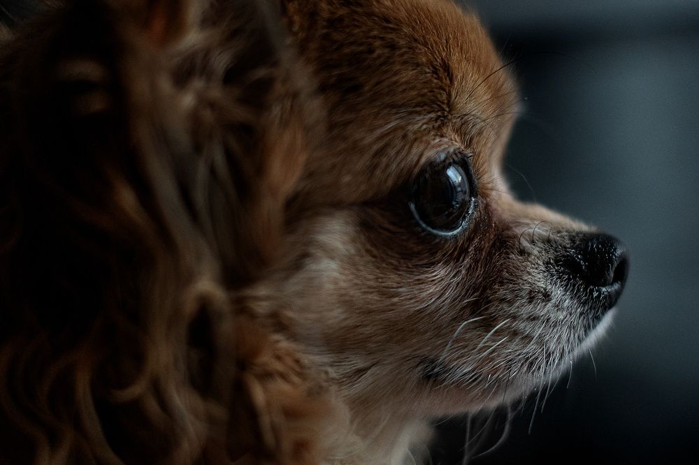 Photograph by Юлия Петухова