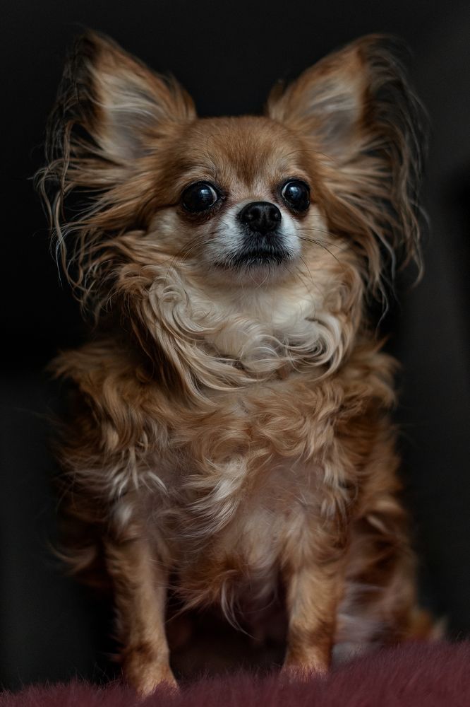 Photograph by Юлия Петухова