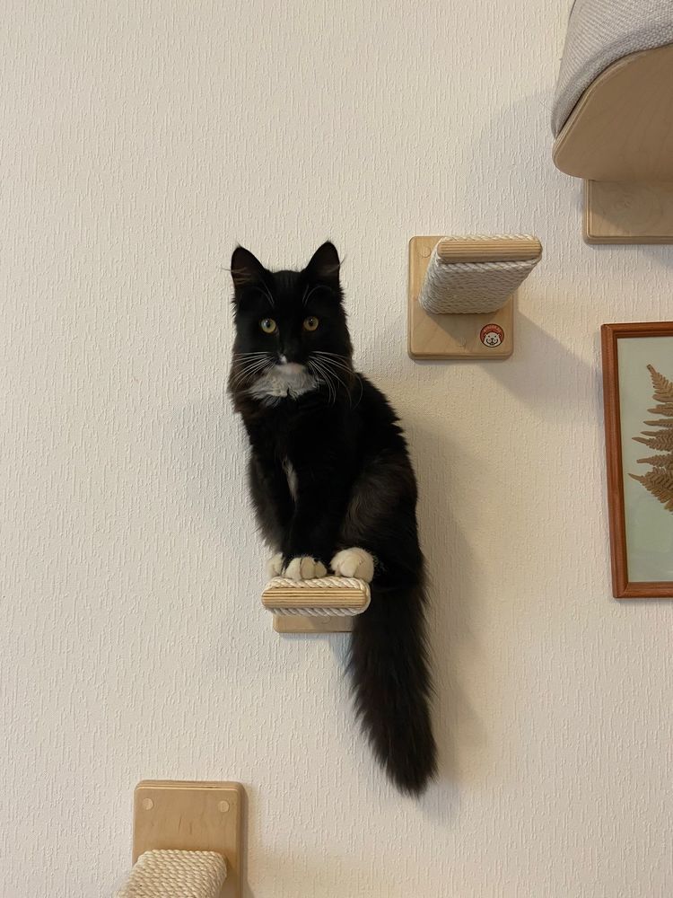 Photograph by Максим Иванов