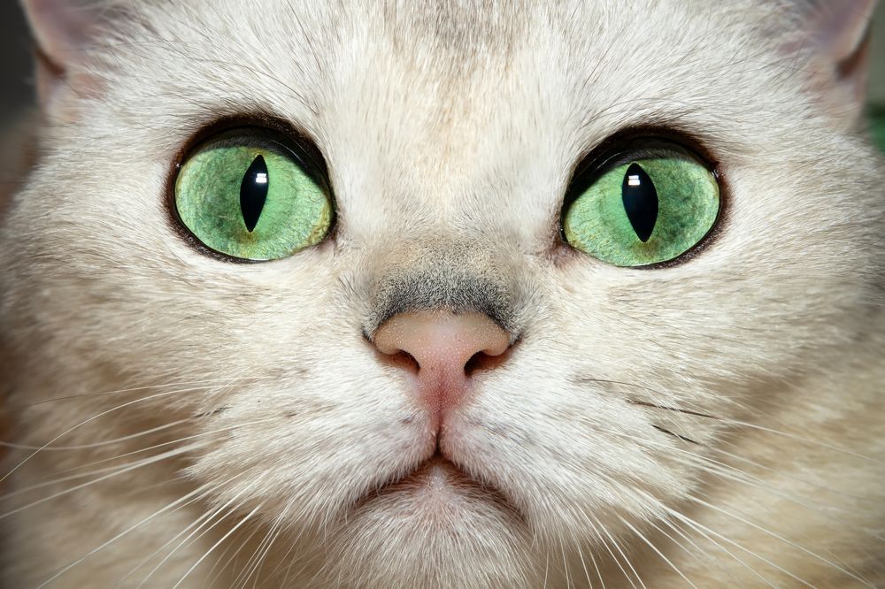 Photograph by Константин Пухов