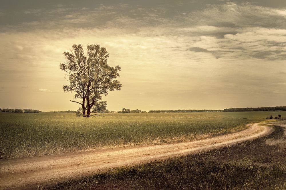 Photograph by Альфия Агзами