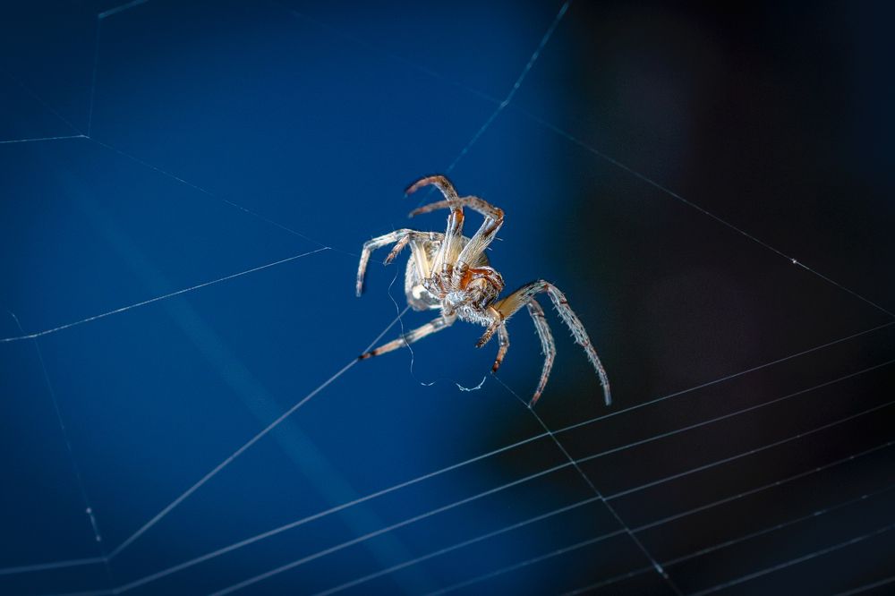 Photograph by Евгений Жуланов