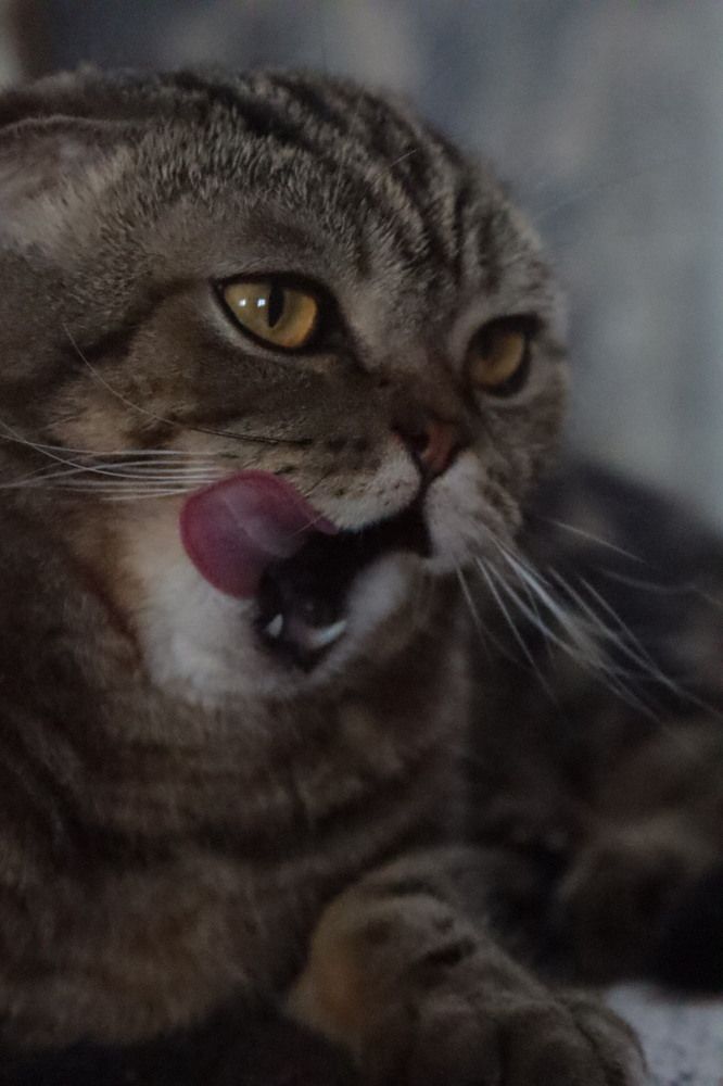 Photograph by Елена Рудкевич