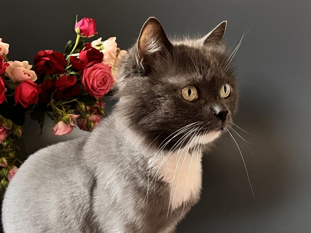 Photograph by Елена Громова