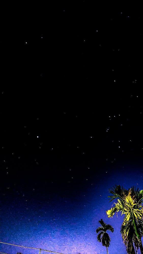 Photograph by SUSMITA SARDAR