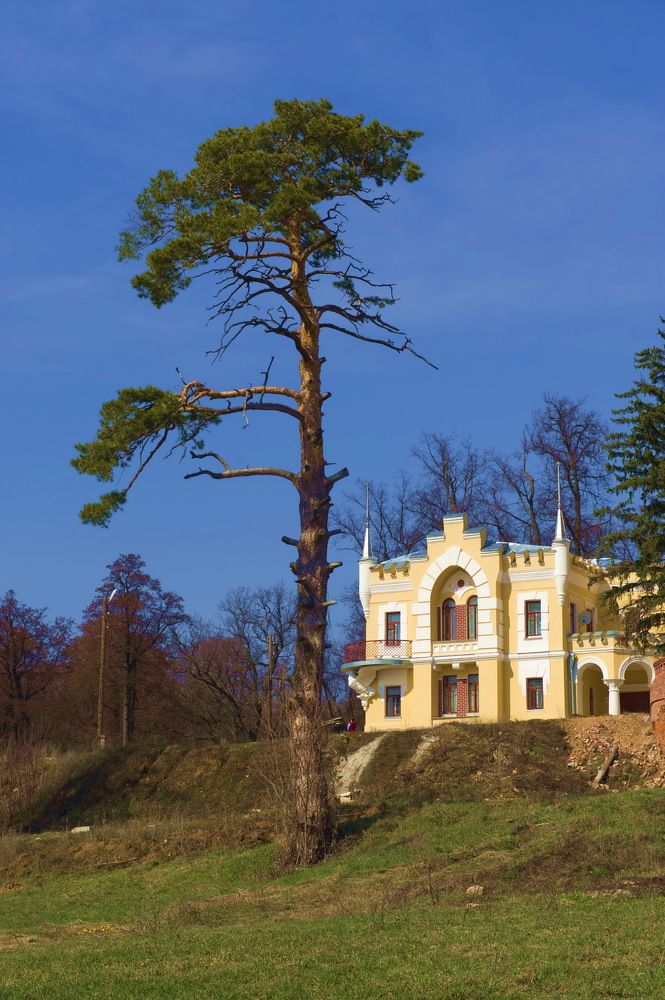 Photograph by Дмитрий Розенбаум