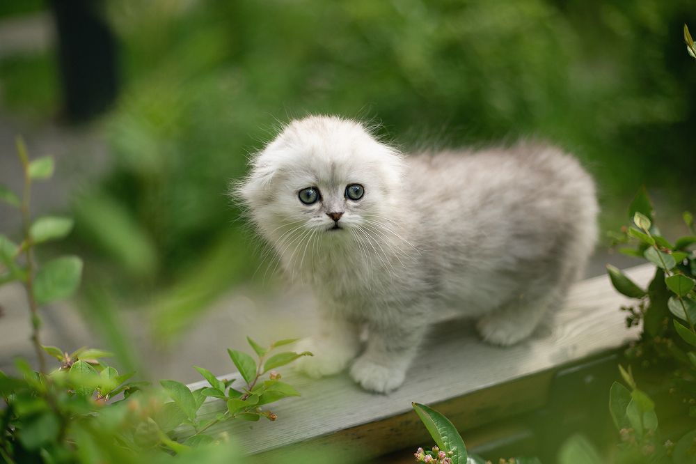 Photograph by Марина Леоненко