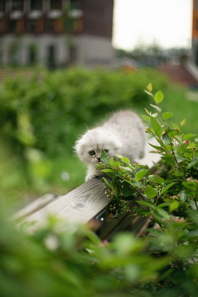 Photograph by Марина Леоненко