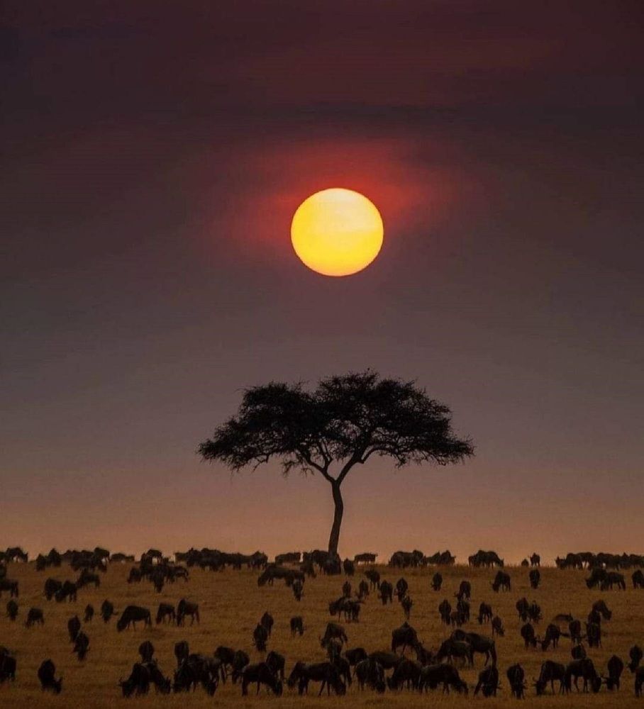 Photograph by Абакар Мирзоев