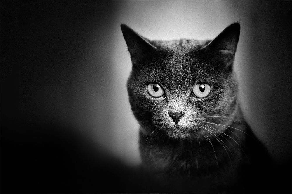 Photograph by Сергей Бутусов