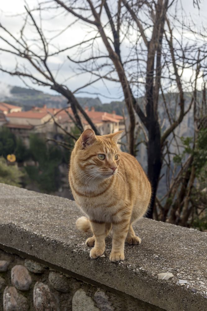 Photograph by TETYANA LYAPI