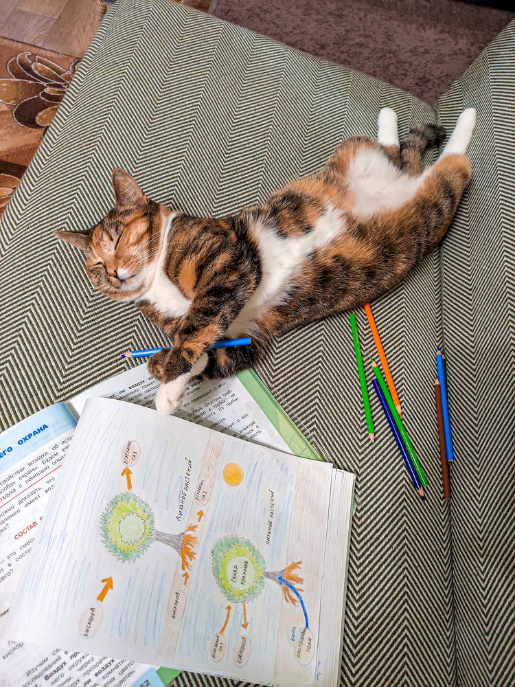 Фотография автора Александр Хухлов