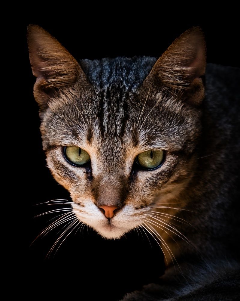 Photograph by Kedarnath M S