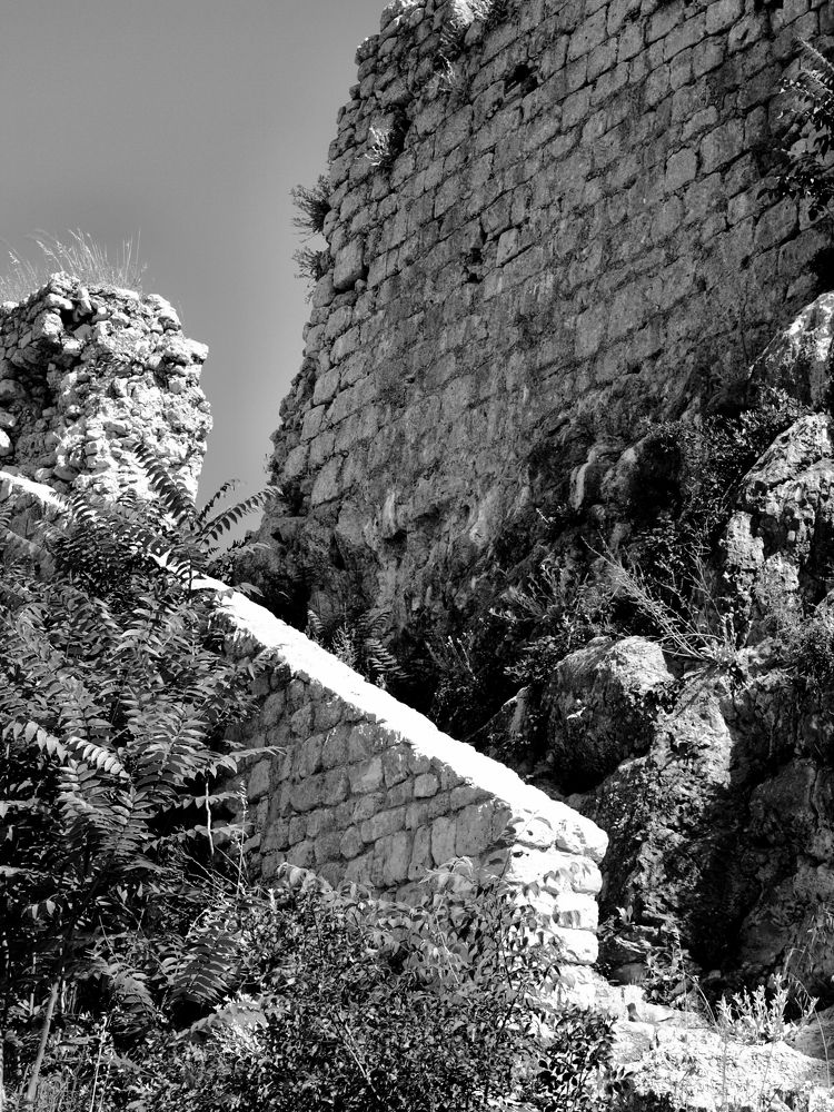 Фотография автора Ivana Kolenc