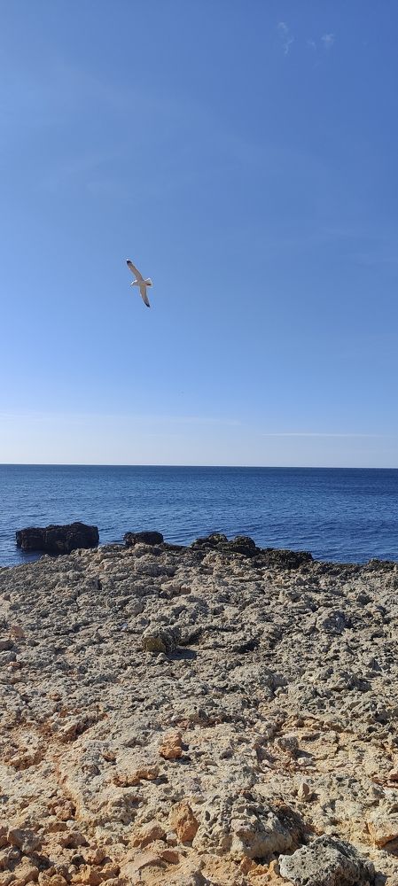 Photograph by Ксения Золотарь