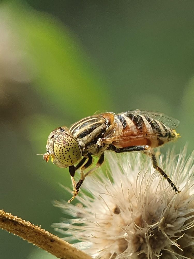 Photograph by Thein Win Tun