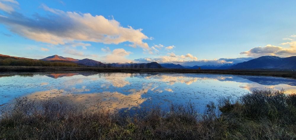 Photograph by Соколова Елена